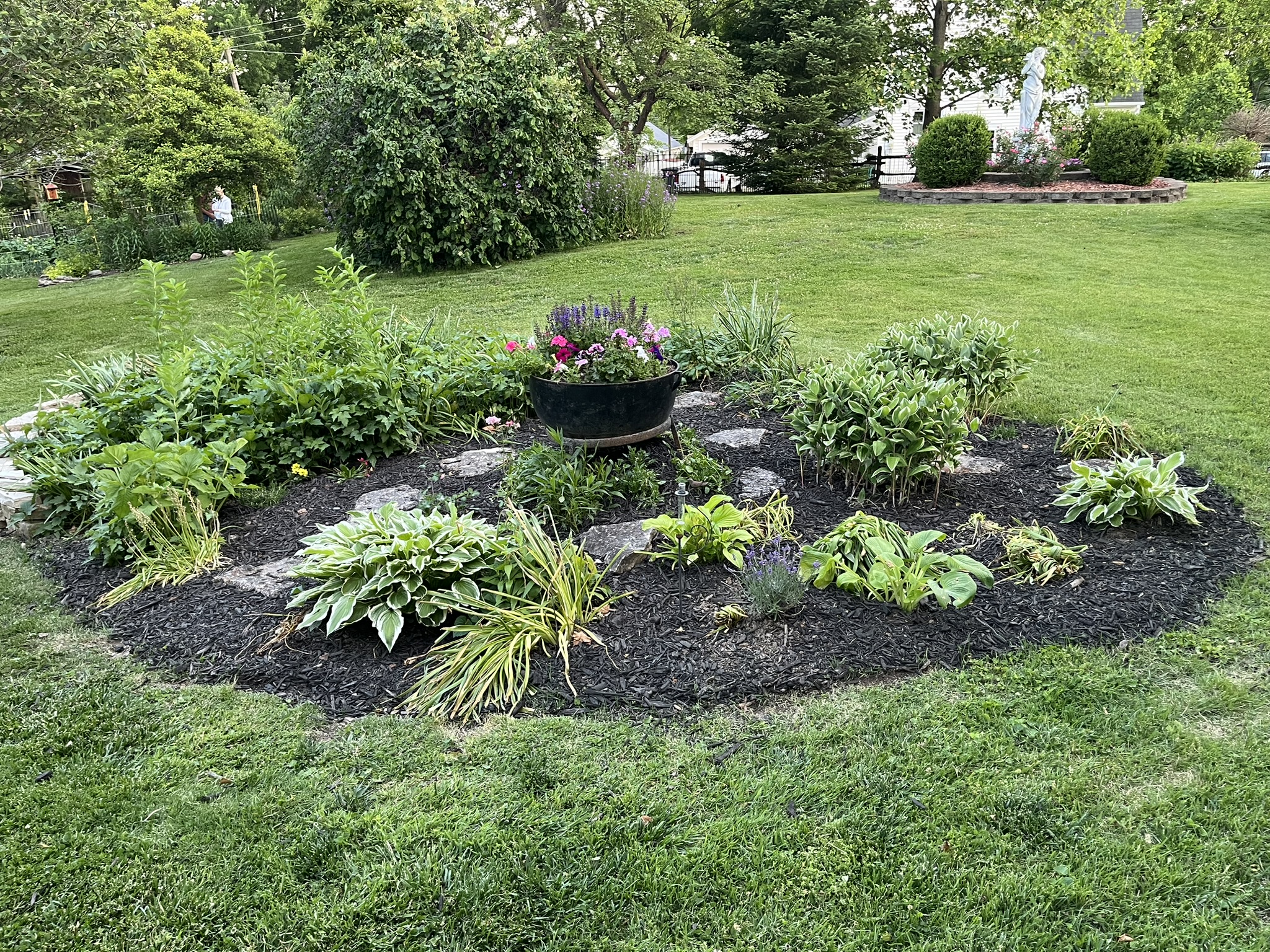 Garden photo